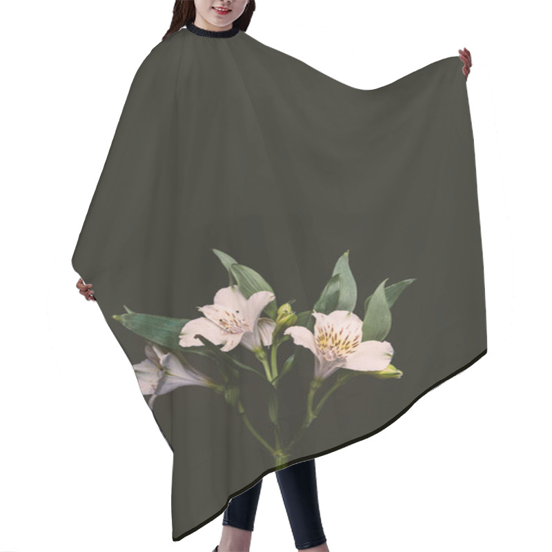 Personality  Beautiful Tender Pink Lily Flowers With Green Leaves On Twig Isolated On Black Hair Cutting Cape