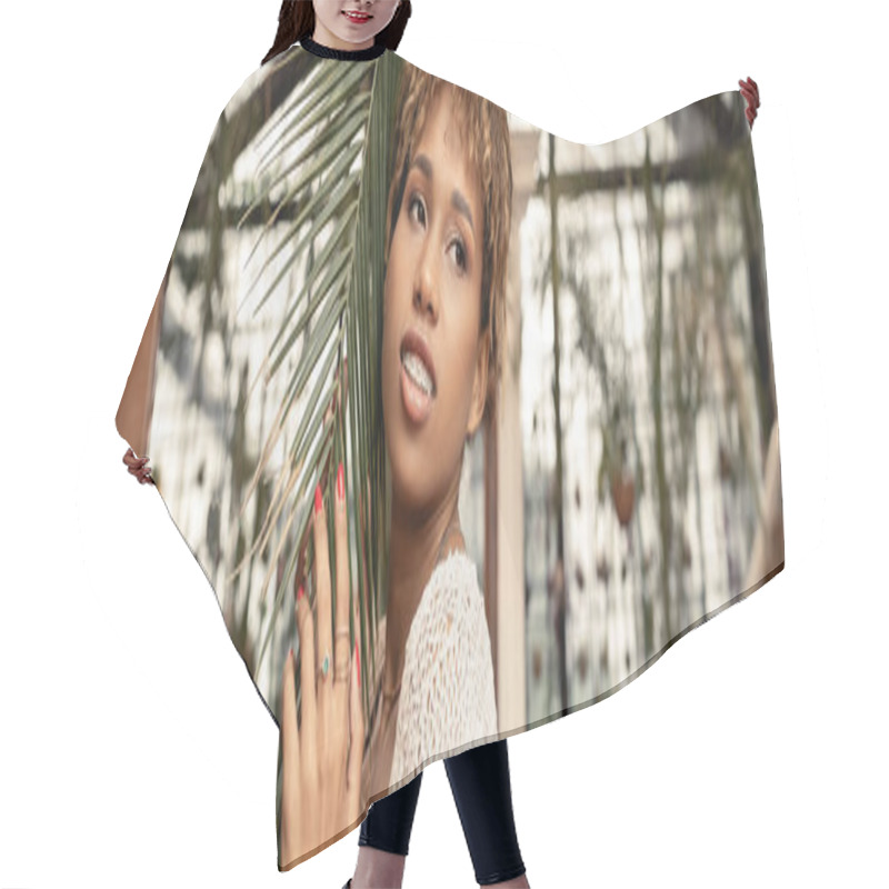 Personality  Positive Young African American Woman With Braces Wearing Knitted Top And Standing Near Brunch Of Palm Tree And Looking Away In Blurred Indoor Garden, Fashionista Posing Amidst Tropical Flora, Banner Hair Cutting Cape