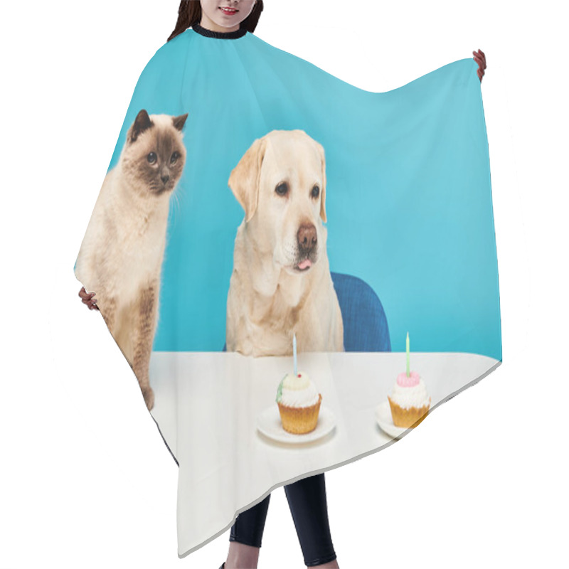 Personality  A Cat And A Dog Sit At A Table, Happily Enjoying Cupcakes Together In A Whimsical And Heartwarming Scene. Hair Cutting Cape