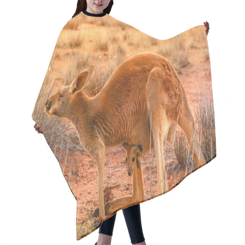 Personality  Kangaroo With A Joey Australia Hair Cutting Cape