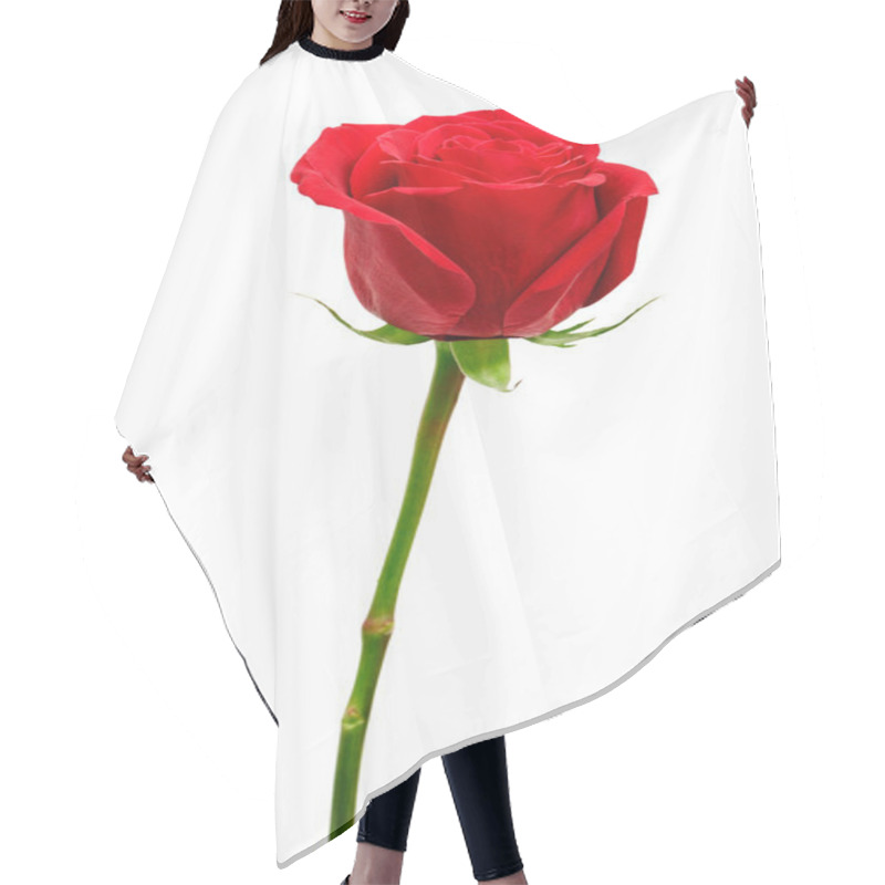 Personality  Beautiful Red Rose Hair Cutting Cape