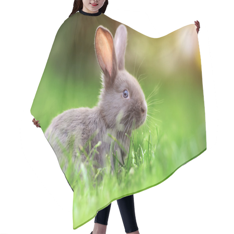 Personality  Rabbit In The Grass Hair Cutting Cape