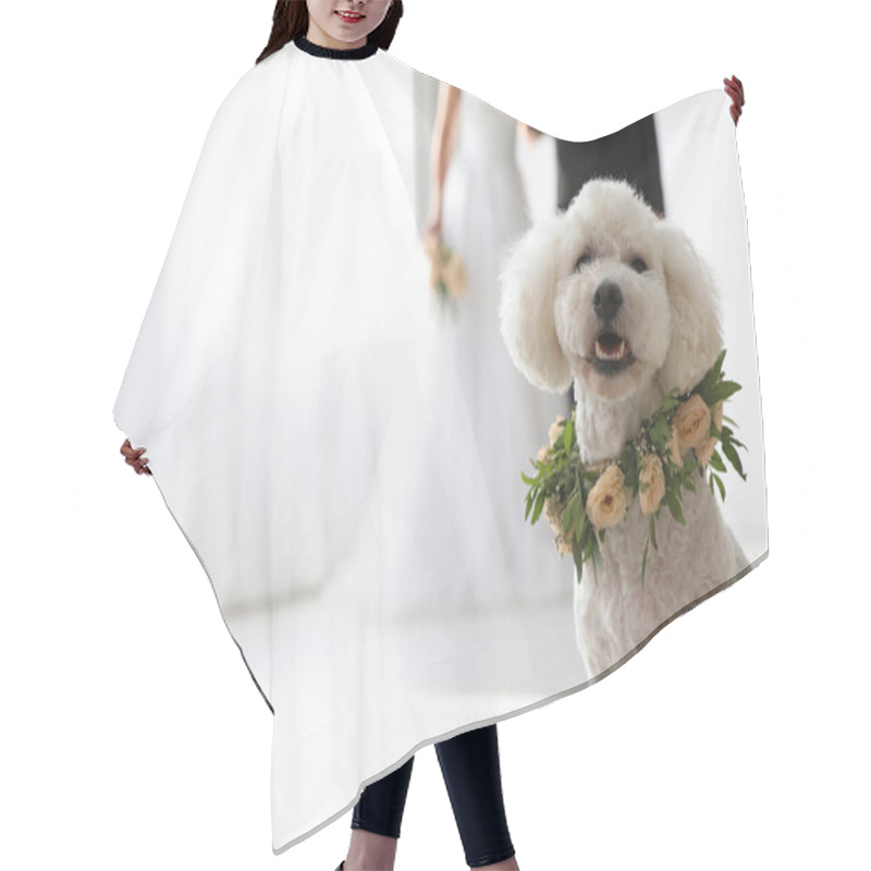 Personality  Adorable Bichon Wearing Wreath Made Of Beautiful Flowers On Wedding. Space For Text Hair Cutting Cape