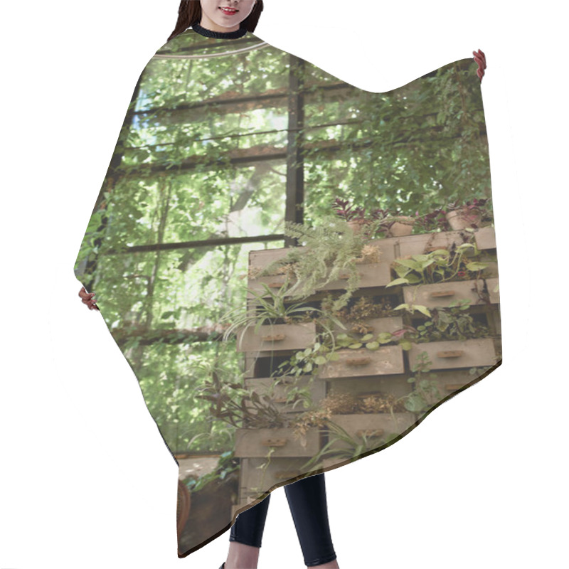 Personality  An Abundance Of Lush Green Plants Alongside Neatly Stacked Boxes In A Vibrant Room. Hair Cutting Cape