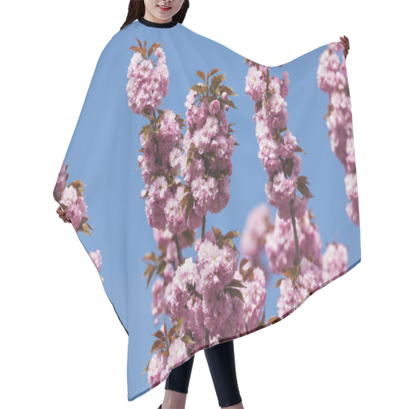 Personality  Pink Cherry Blossoms Hair Cutting Cape