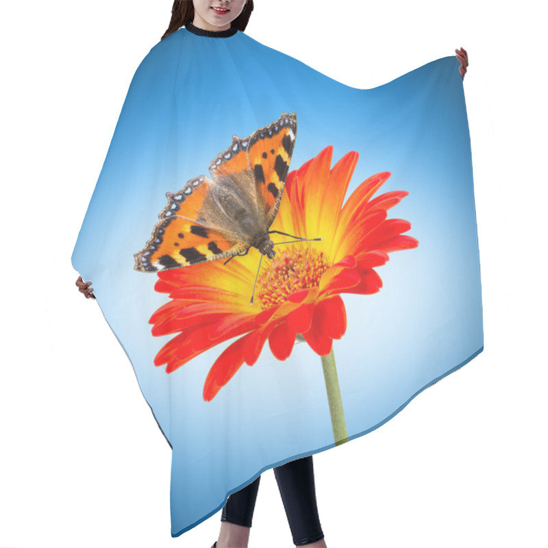 Personality  Butterlfy Flower Hair Cutting Cape