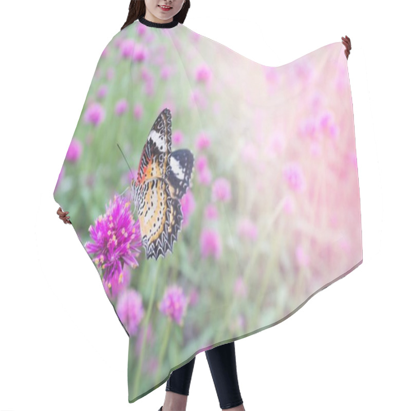 Personality  Butterfly Collect Nectar From Pink-purple Flower In Garden. On Happy Family Day And Valentine And Lovely Day. Colorful Flower For Wallpaper, Background, Decorate Interior.Copy Space For Greeting Card. Hair Cutting Cape