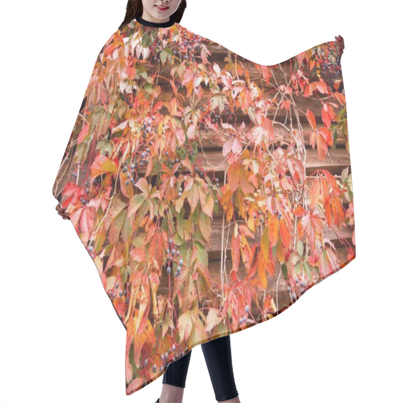 Personality  Rustic Wooden Wall With Red Autumn Leaves And Blue Berries Hair Cutting Cape