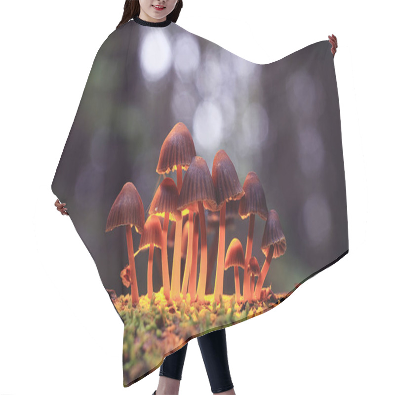 Personality  Small Poisonous Mushrooms Hair Cutting Cape