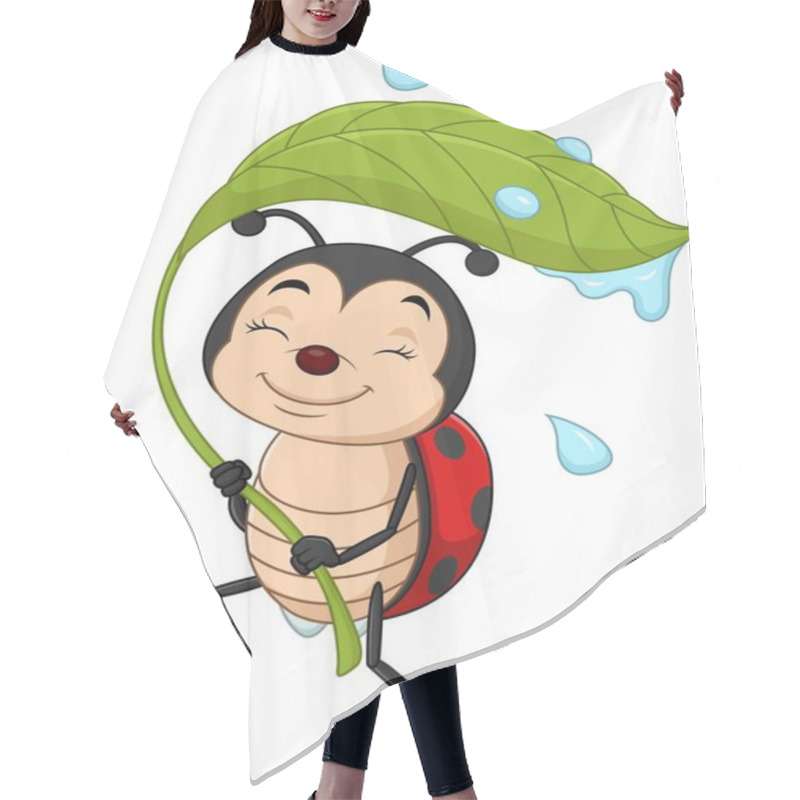 Personality  Vector Illustration Of Cartoon Ladybug Holding A Green Leaf Hair Cutting Cape