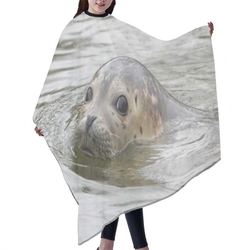 Personality  Grey Seal Swimming Hair Cutting Cape