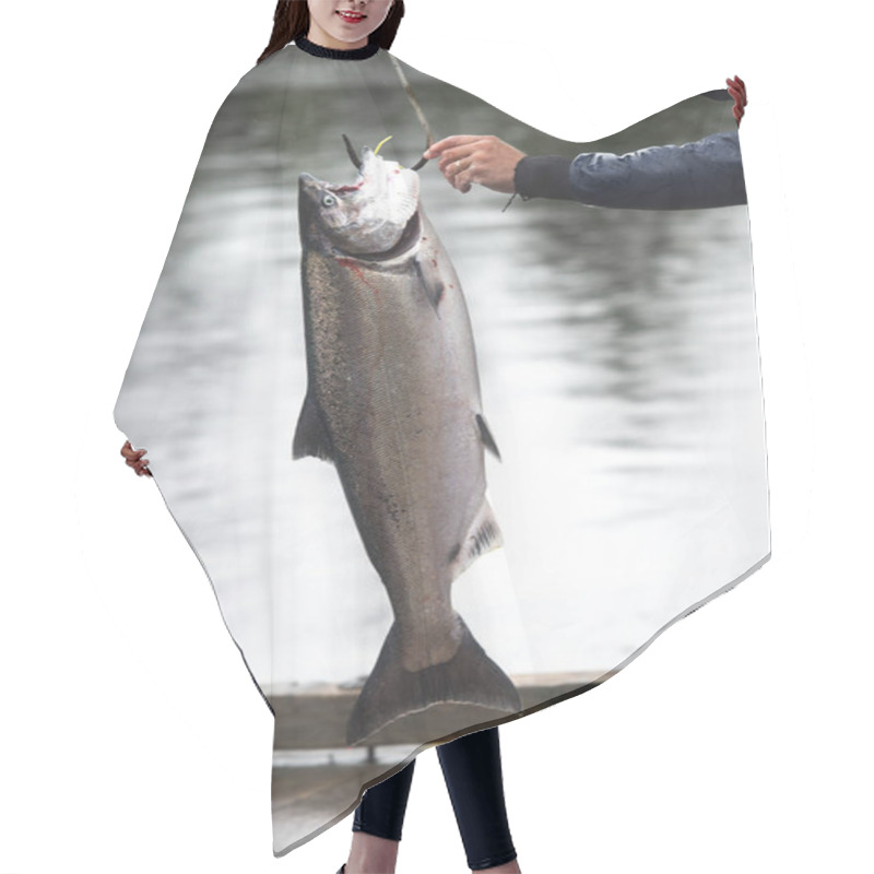 Personality  Salmon Hooked By A Fisherman, Skeena-Queen Charlotte Regional District, Haida Gwaii, Graham Island, British Columbia, Canada Hair Cutting Cape