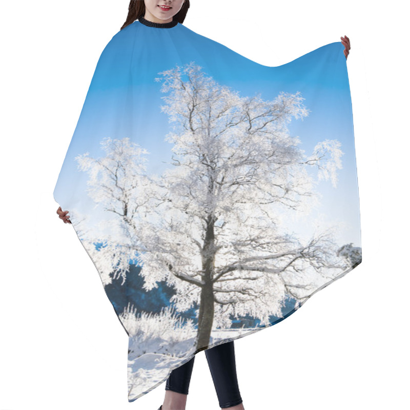 Personality  Winter Scene From Norway Hair Cutting Cape