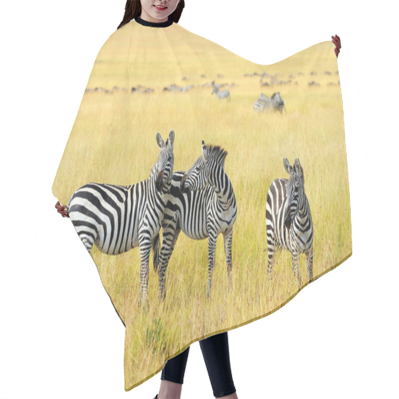 Personality  Zebra On Grassland In Africa Hair Cutting Cape