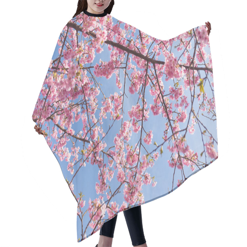 Personality  Blooming Sakura Tree Branches Hair Cutting Cape