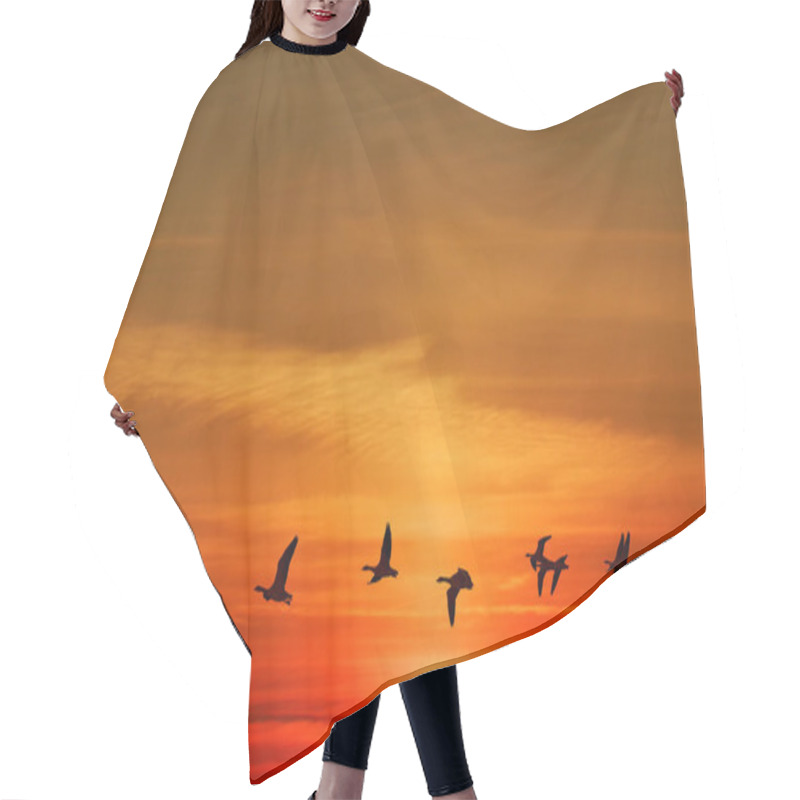 Personality  Birds Flying At Sunrise Or Sunrise Hair Cutting Cape