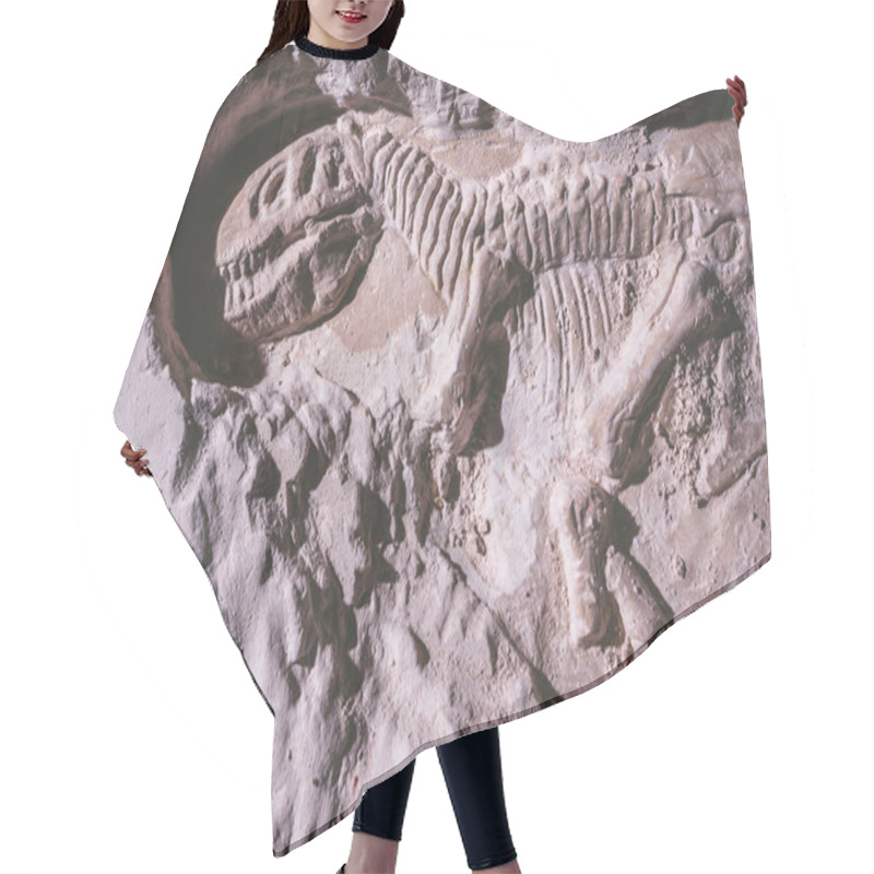 Personality  Skeleton Of Dinosaur. Tyrannosaurus Rex Simulator Fossil In Ground Stone. Hair Cutting Cape