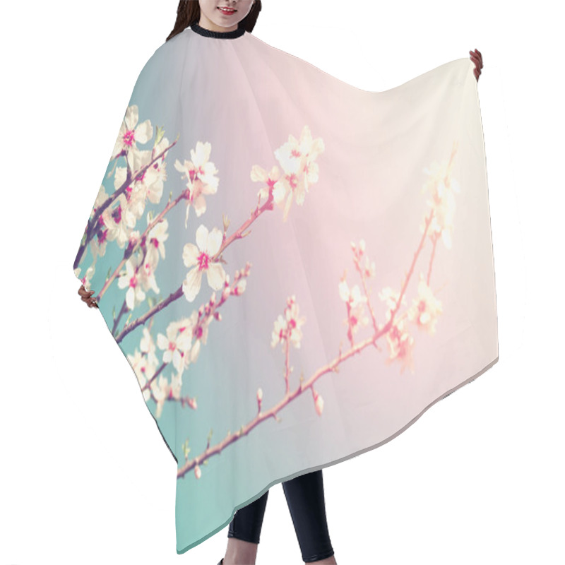 Personality  Abstract Dreamy And Blurred Image Of Spring White Cherry Blossoms Tree. Selective Focus. Vintage Filtered Hair Cutting Cape