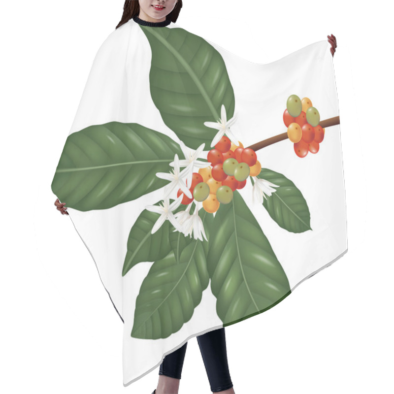 Personality  Coffe Species Branch With Coffee Berries And Blossom Hair Cutting Cape