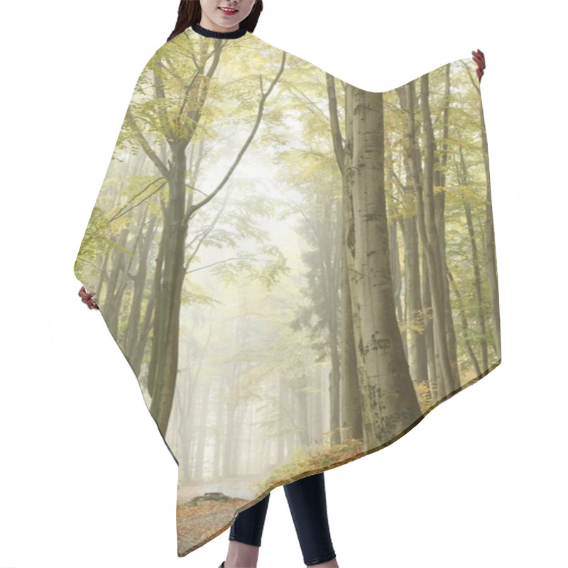 Personality  Mountain Trail In Foggy Autumn Forest Hair Cutting Cape