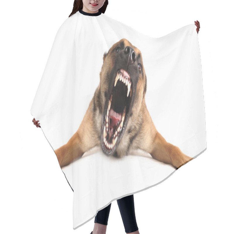 Personality  Bad Dog Hair Cutting Cape