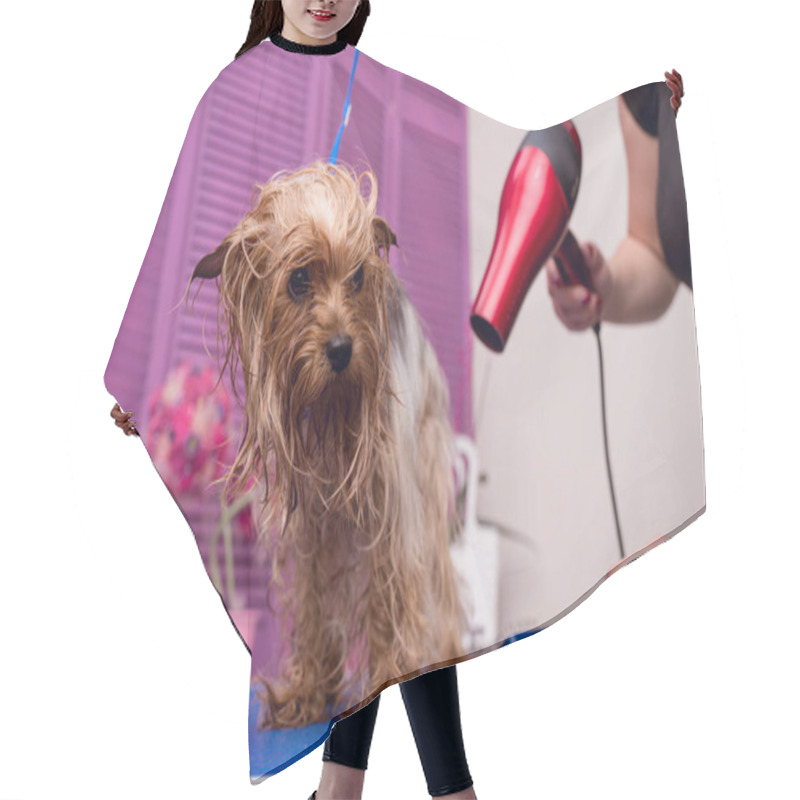 Personality  Groomer Drying Dog Hair Cutting Cape