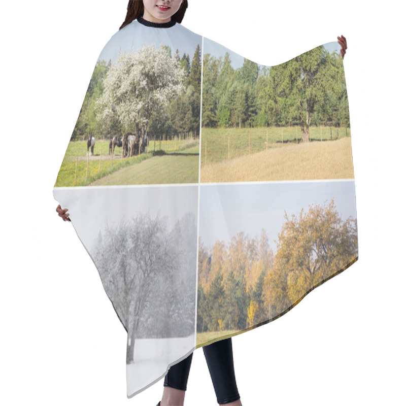 Personality  Beautiful Collage Of 4 Seasons Different Pictures Of An Apple Tree On Field, Same Spot, Place. White Spring Blossoms, Green Fresh Bright Summer Day, Yellow Autumn Leaves, Snowstorm In Winter.  Hair Cutting Cape