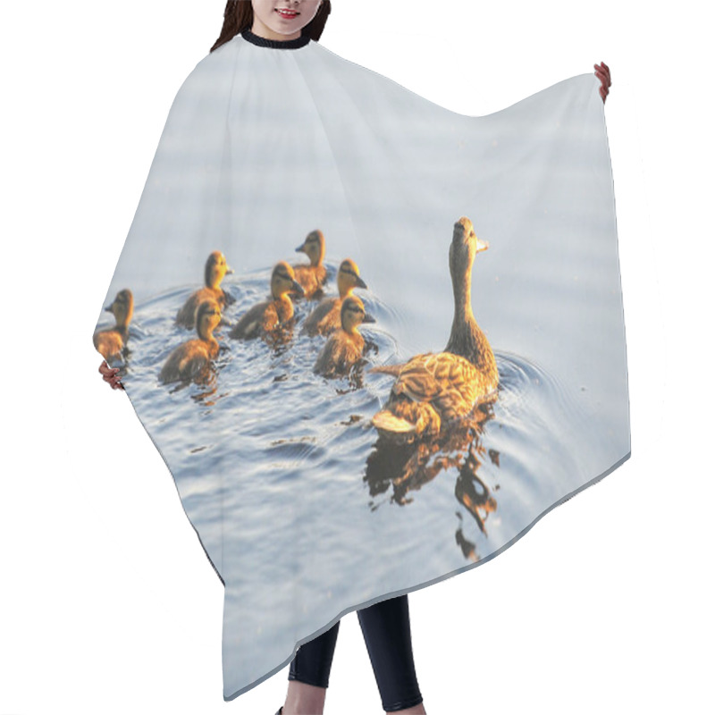 Personality  Ducks On The Lake 2022 In Summer Hair Cutting Cape