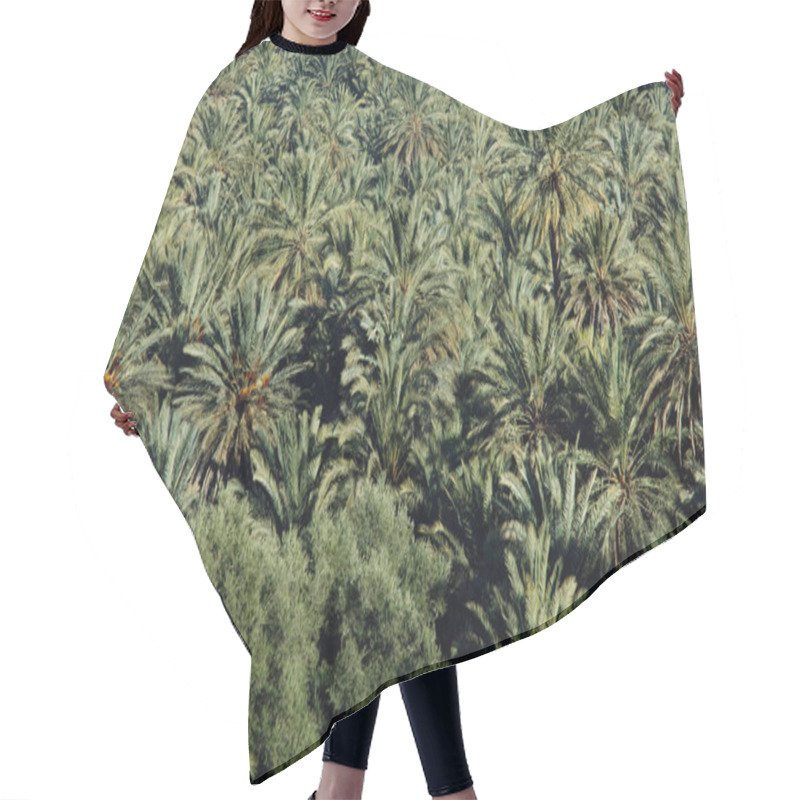 Personality  Palmtree Hair Cutting Cape