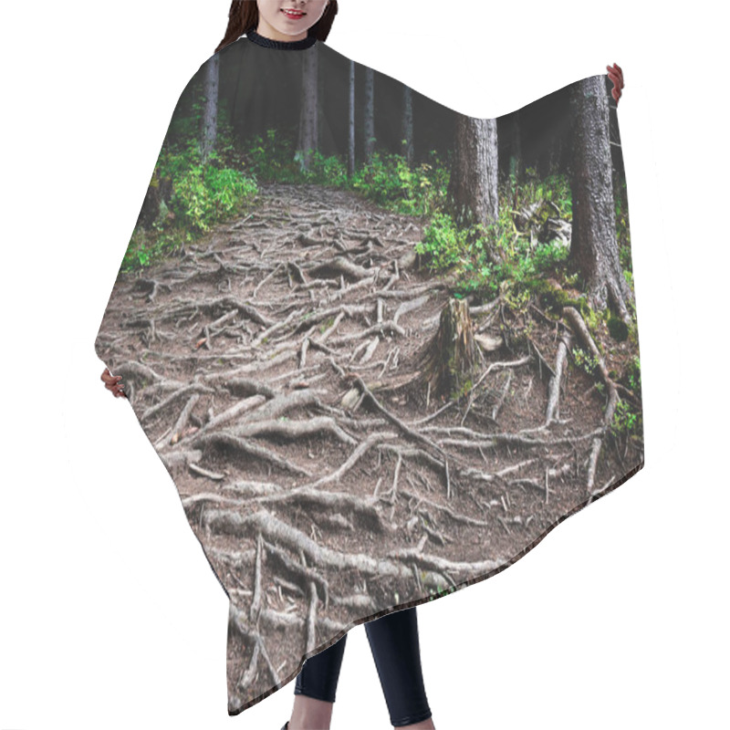 Personality  Nature Background Intertwined Roots Of Trees Hair Cutting Cape