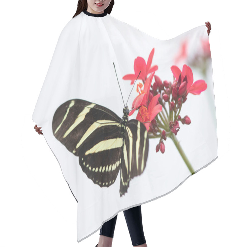 Personality  Postman Butterfly Gathering Nectar From A Flower Hair Cutting Cape