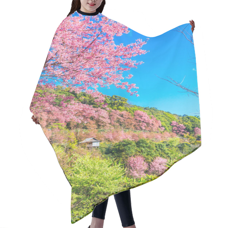 Personality  Sakura Blossom In Thailand Hair Cutting Cape