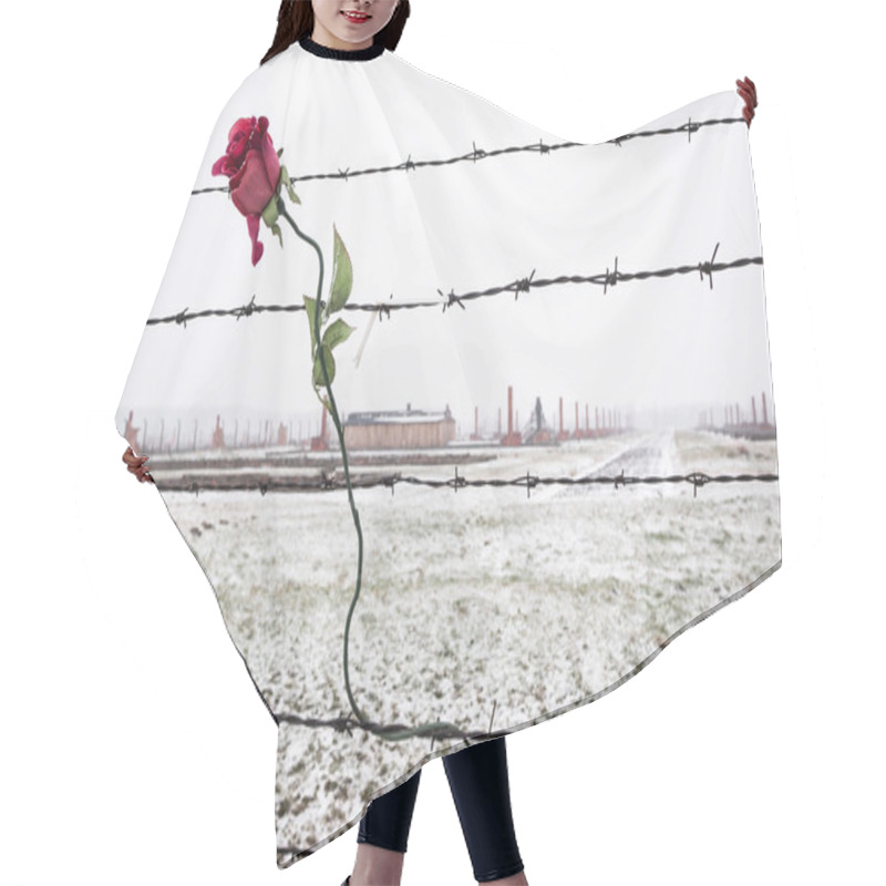 Personality  A Rose On The Barbed Wire Fence Hair Cutting Cape