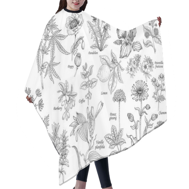 Personality  Vector Set Of Medicinal Plants. Hair Cutting Cape