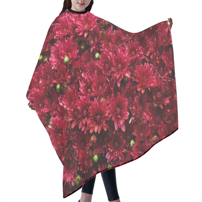 Personality  Chrysanthemum Hair Cutting Cape