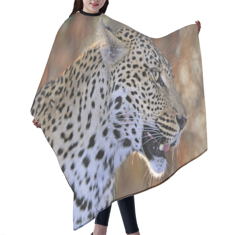 Personality  Wild African Leopard Hair Cutting Cape