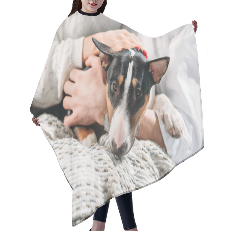 Personality  Partial View Of Couple Stroking Funny Dog Hair Cutting Cape