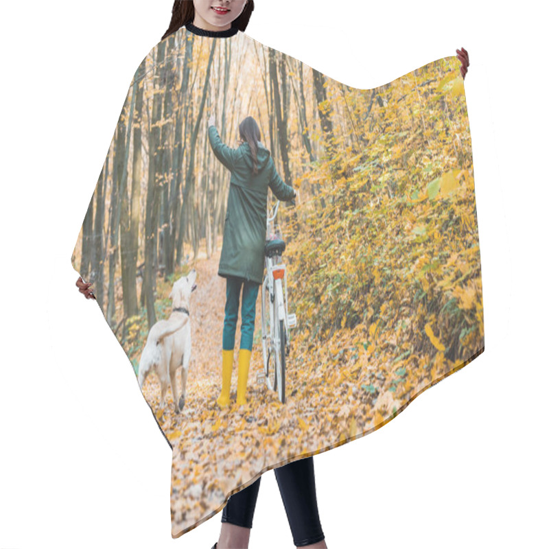 Personality  Rear View Of Woman With Bicycle And Her Golden Retriever Walking Near On Yellow Leafy Path In Forest  Hair Cutting Cape