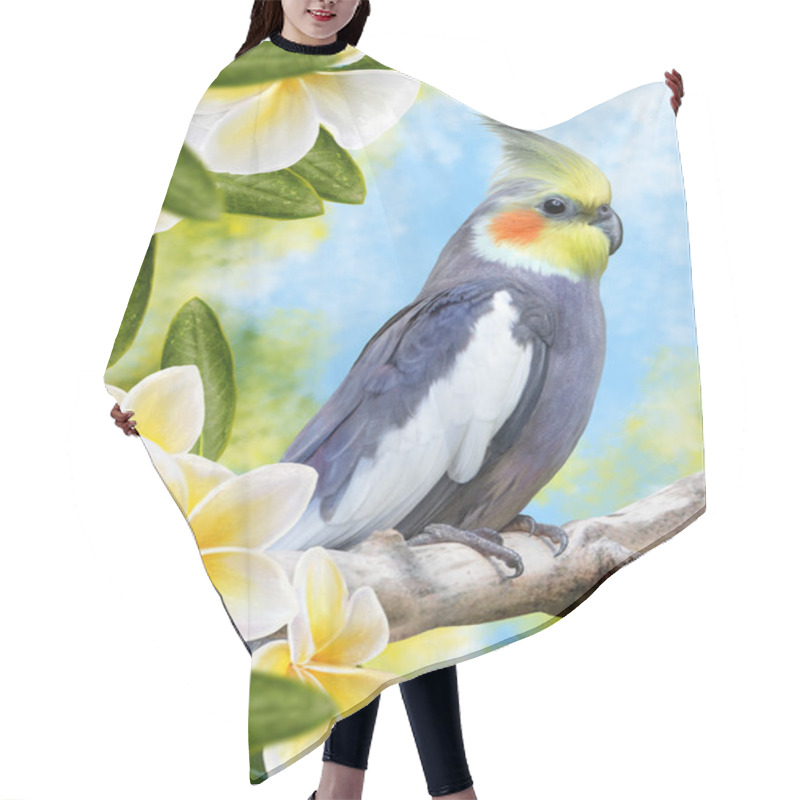 Personality  Bird Parrot Corella And White Flowers Plumeria, Frangipani Hair Cutting Cape