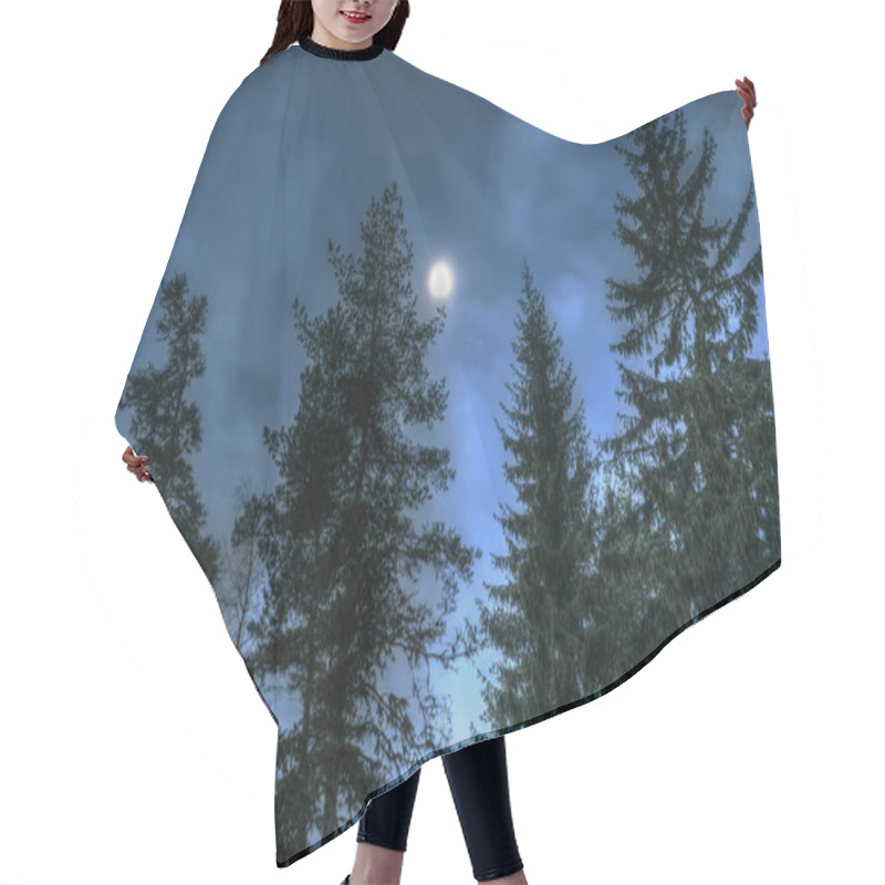 Personality  Pines At Night In The Woods. Moon Night Hair Cutting Cape