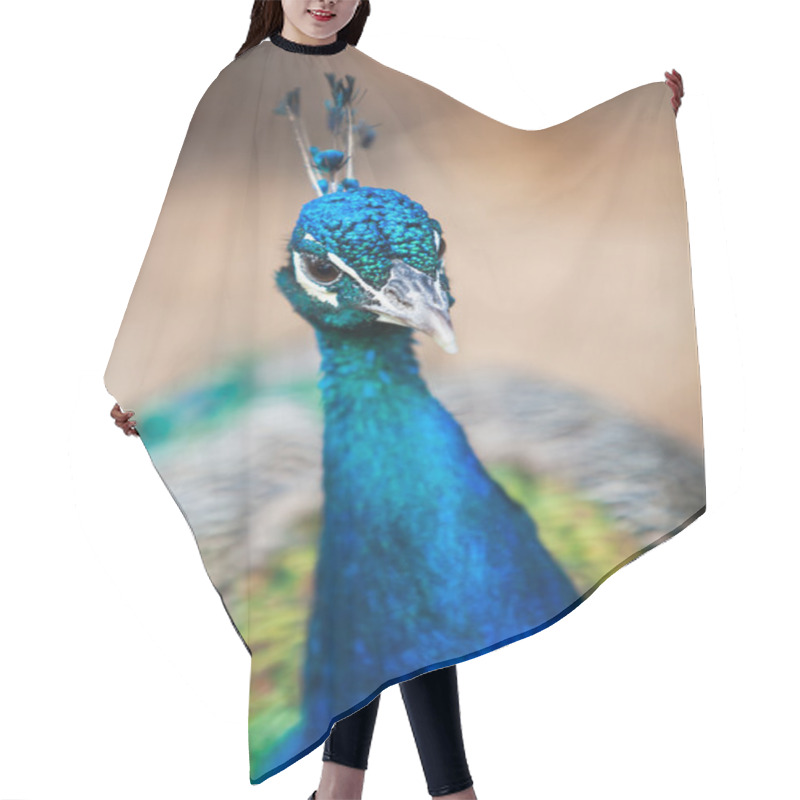 Personality  Macro Hair Cutting Cape