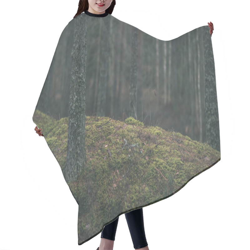 Personality  Autumn Forest With Pine Trees And Moss Hair Cutting Cape