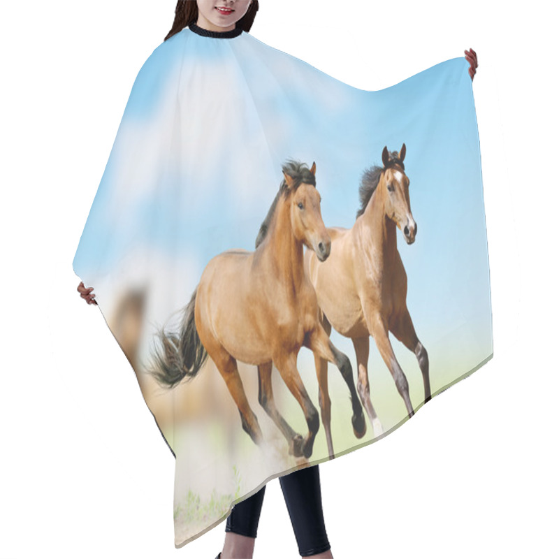 Personality  Horses Hair Cutting Cape