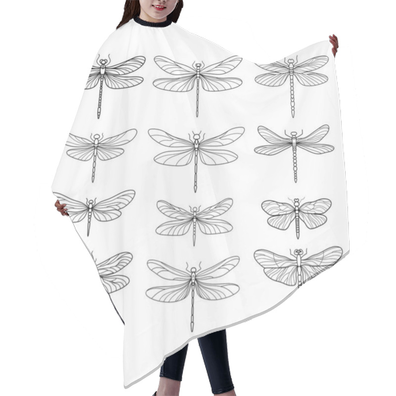 Personality  Vector Hand Drawn Set Of Dragonfly. Hair Cutting Cape