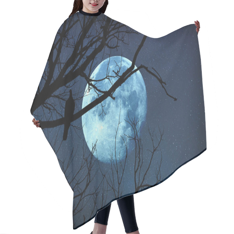 Personality  Silhouette Of A Tree With Bird On It And Moon On Starry Background. Elements Of This Image Are My Work. Hair Cutting Cape