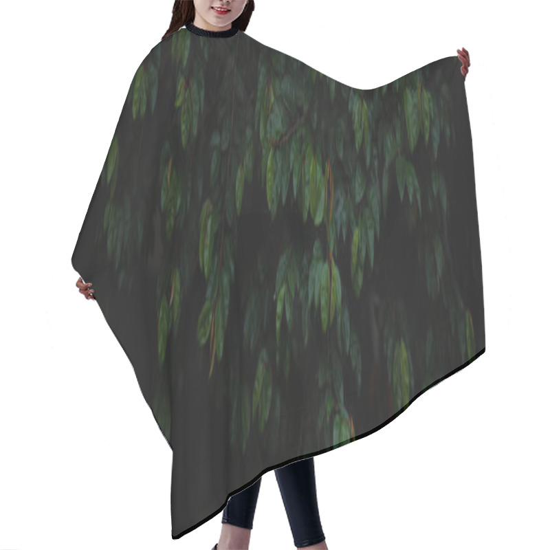 Personality  Wide Angle Background Image Of Dark Green Leaves Hair Cutting Cape