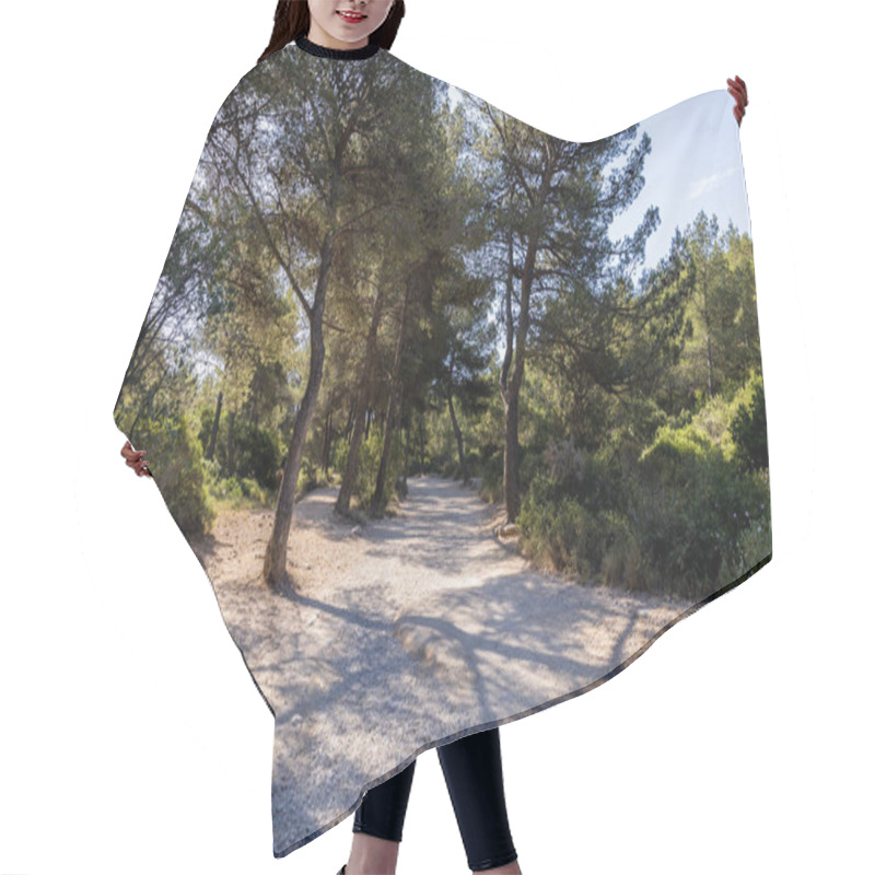 Personality  Trees Hair Cutting Cape