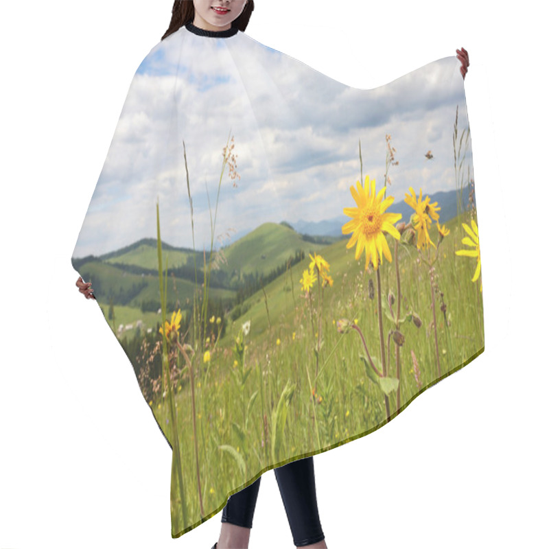 Personality  Beautiful Landscape With Meadow Of Wildflowers On A Background O Hair Cutting Cape