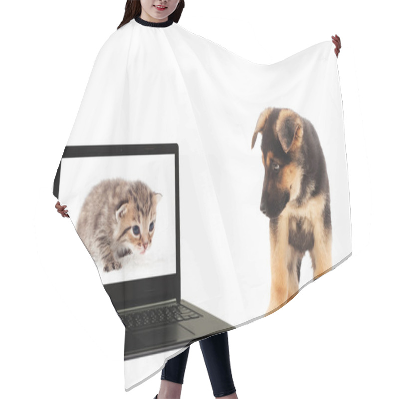 Personality  Kitten, Puppy And A Laptop On A White Background Isolated Hair Cutting Cape