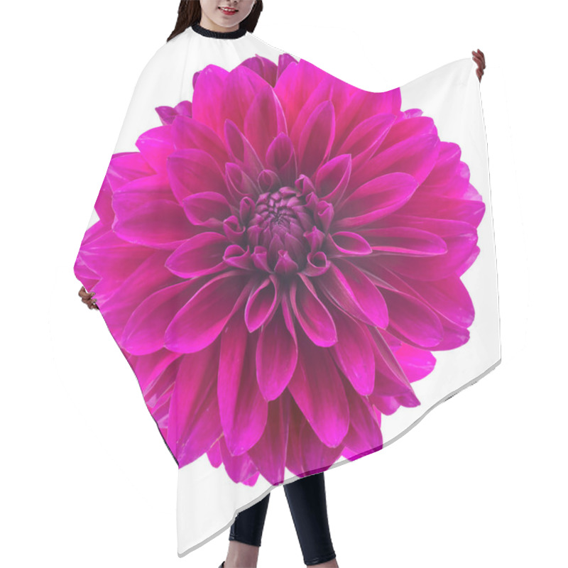 Personality  Purple Autumn Dahlias On White Background. Copy Space. Isolated On White Hair Cutting Cape